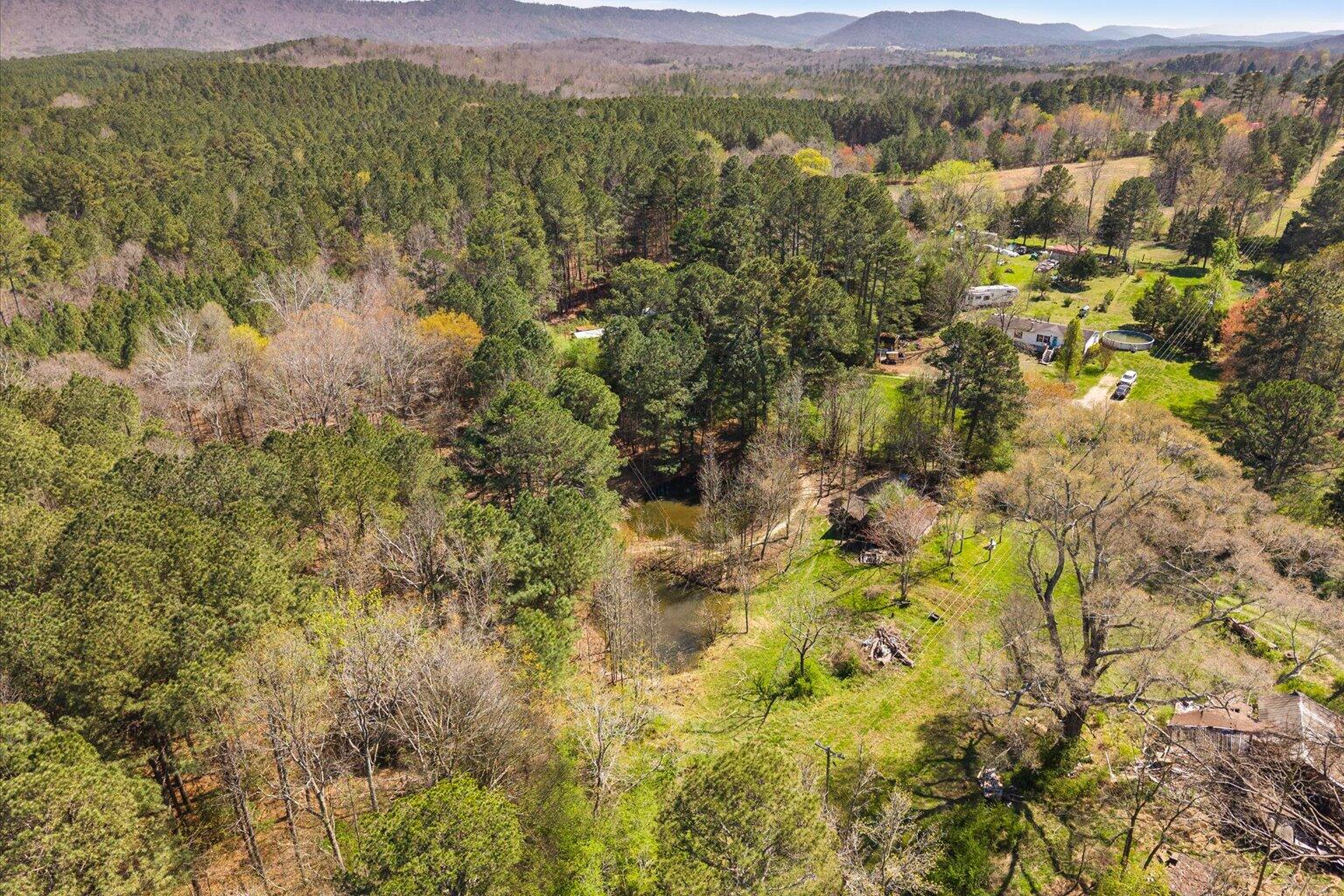 189 White Road Rocky Face, GA 30740 - Photo 23 of 24 23-DJI_20260324145342_0940_D