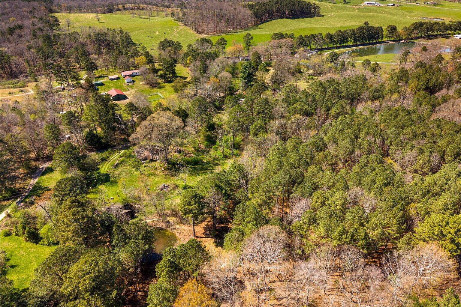 189 White Road Rocky Face, GA 30740 - Photo 24 of 24 24-DJI_20260324145817_0960_D