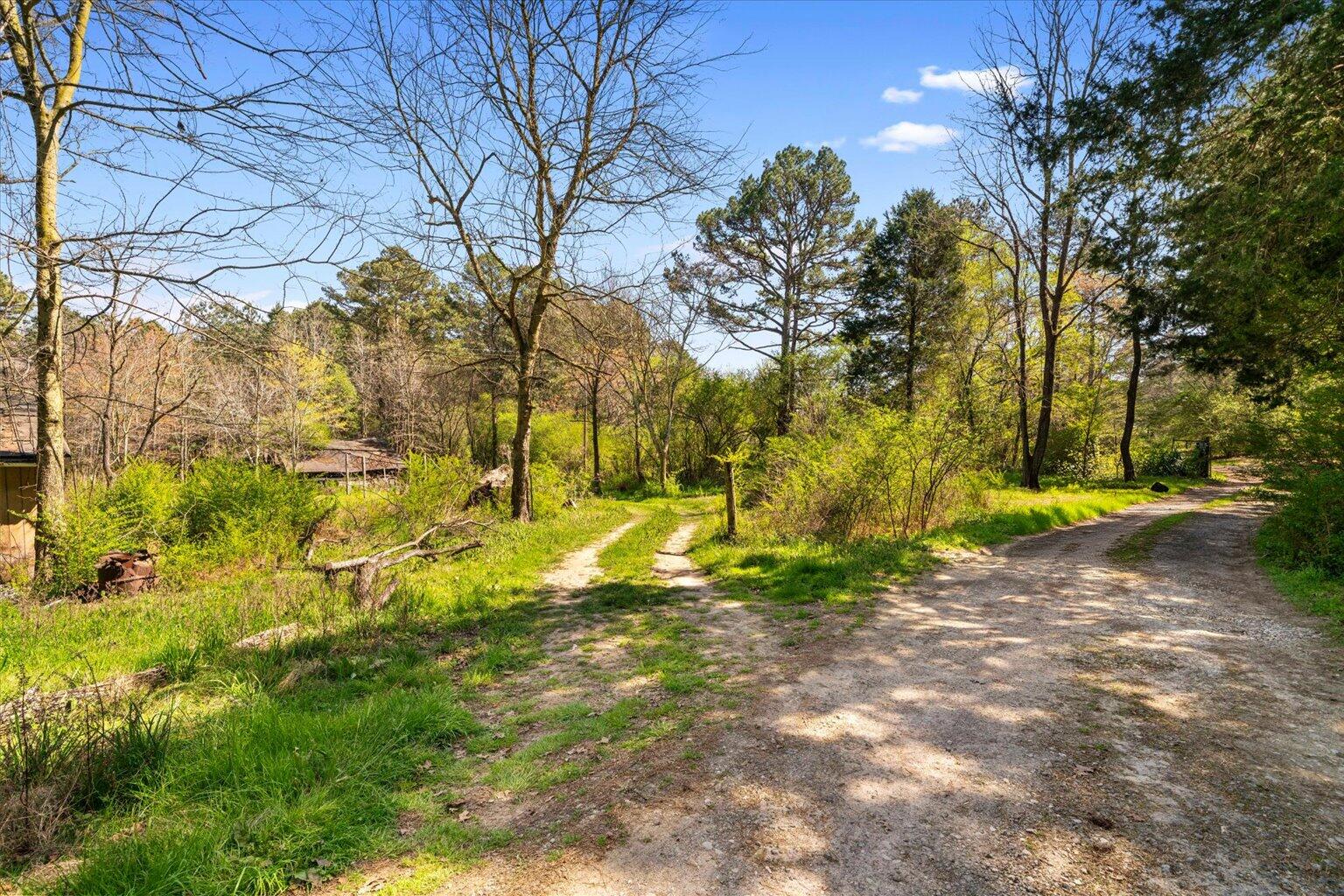 189 White Road Rocky Face, GA 30740 - Photo 4 of 24 04-DSC00920