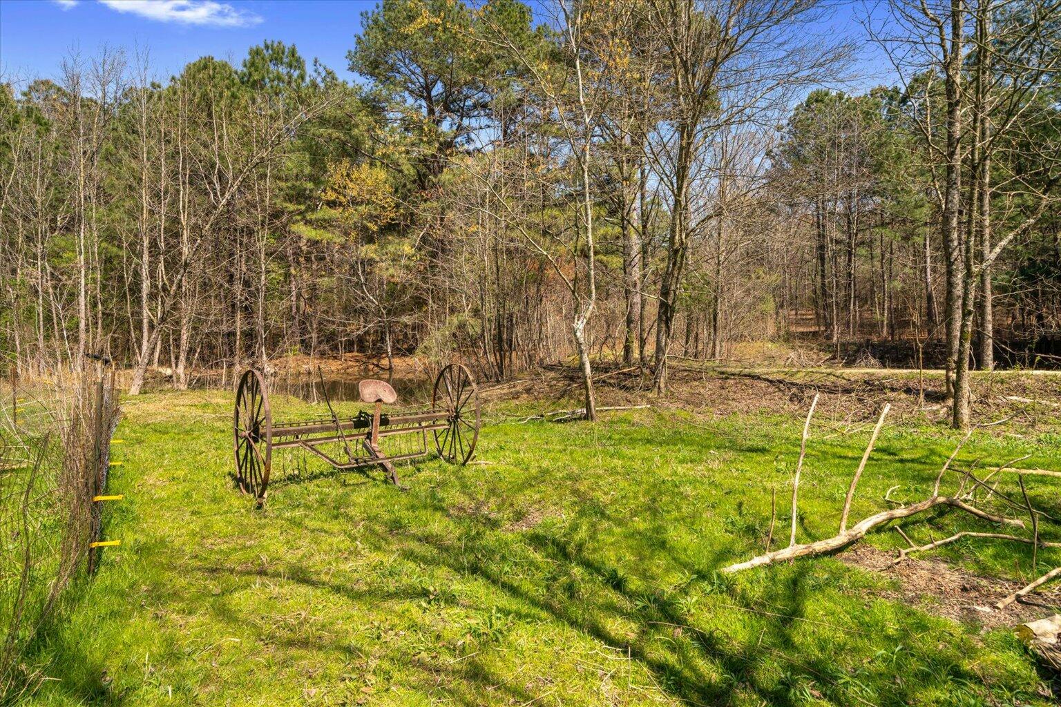 189 White Road Rocky Face, GA 30740 - Photo 10 of 24 10-DSC00899