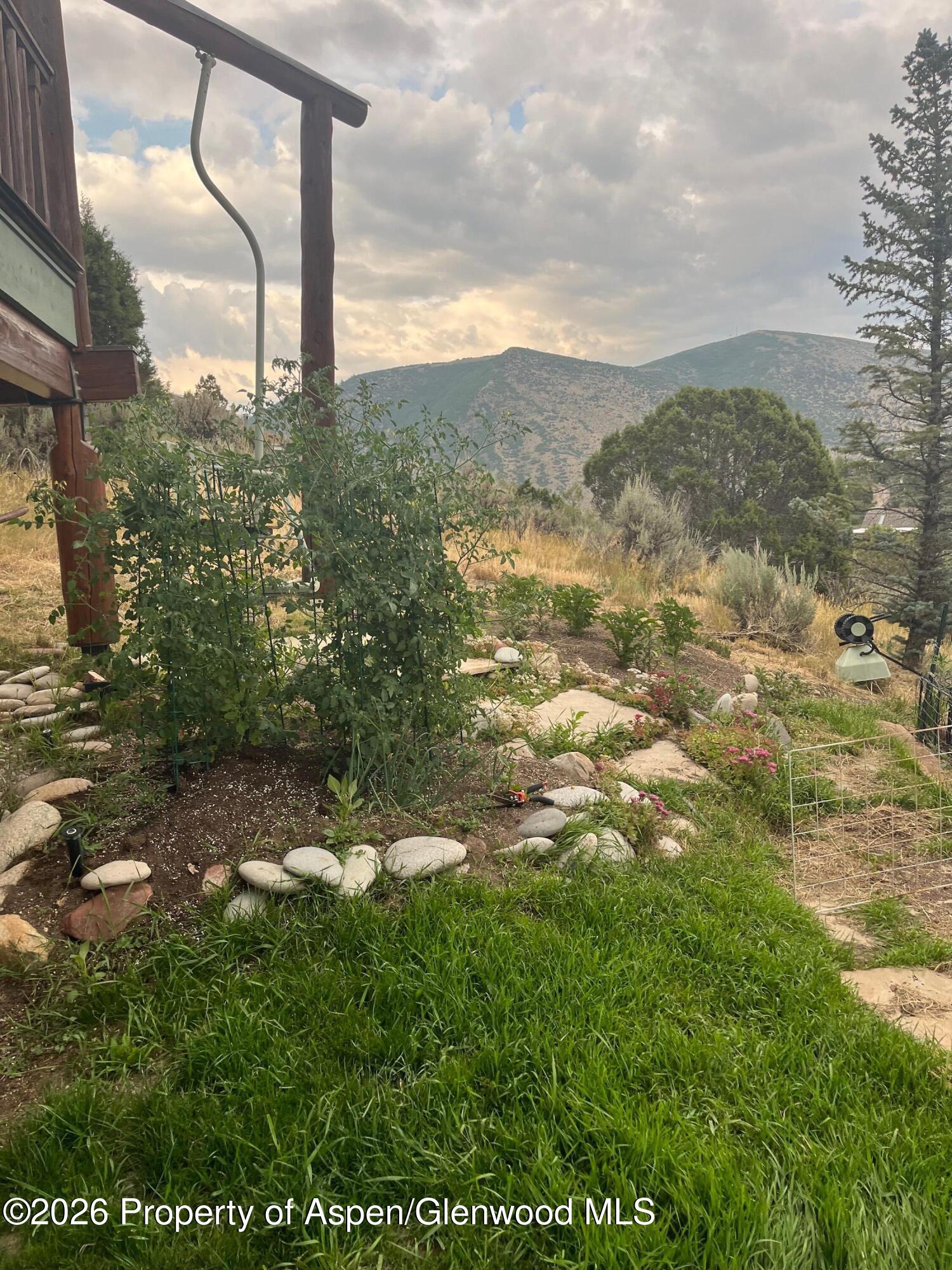 234 Light Hill Road Snowmass, CO 81654 - Photo 6 of 29 234 Rear Gardens