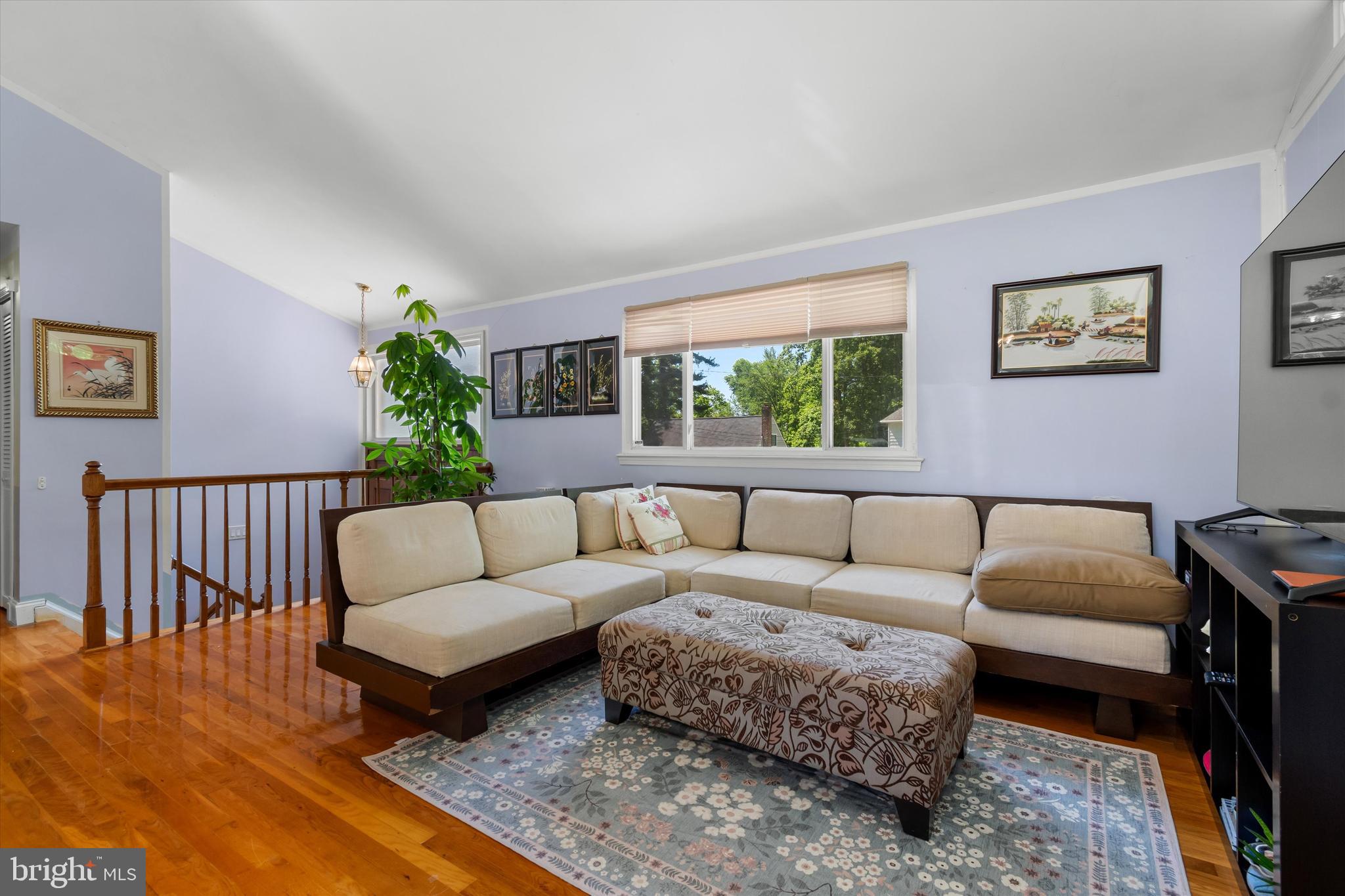 8304 Harland Drive Springfield, VA 22152 - Photo 8 of 39 a living room with furniture and a potted plant