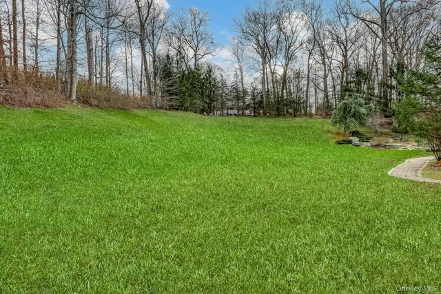 a view of a yard with palm trees