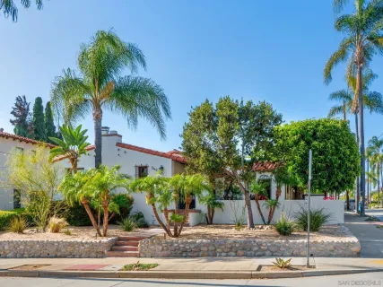 a view of a palm tree next to a yard
