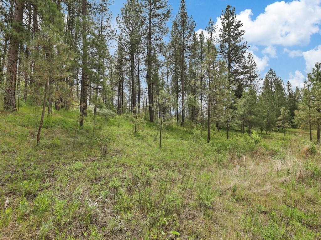 9215 Cheney Spokane Road Spokane, WA 99224 - Photo 12 of 40