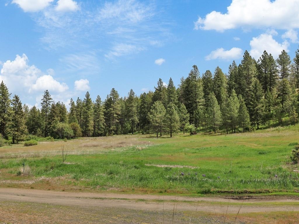 9215 Cheney Spokane Road Spokane, WA 99224 - Photo 3 of 40