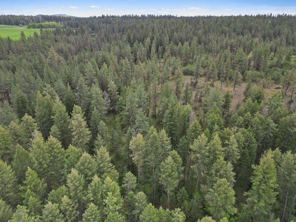 9215 Cheney Spokane Road Spokane, WA 99224 - Photo 32 of 40