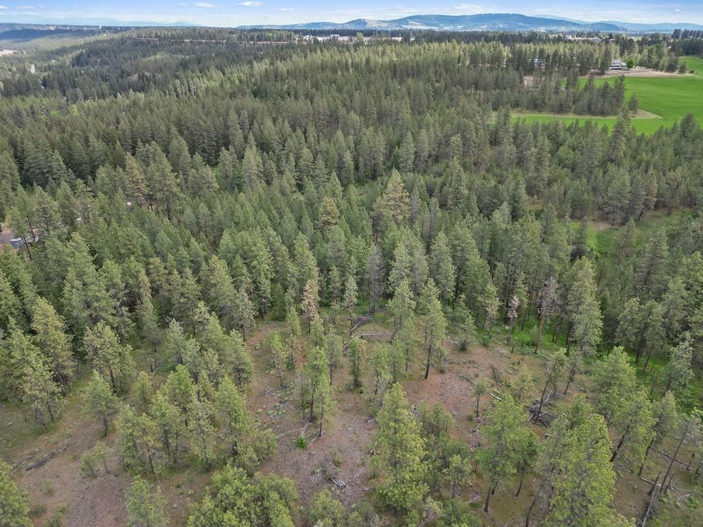 9215 Cheney Spokane Road Spokane, WA 99224 - Photo 33 of 40