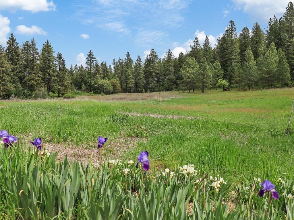 9215 Cheney Spokane Road Spokane, WA 99224 - Photo 5 of 40