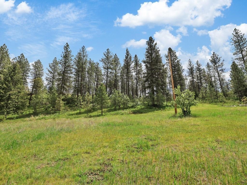 9215 Cheney Spokane Road Spokane, WA 99224 - Photo 8 of 40