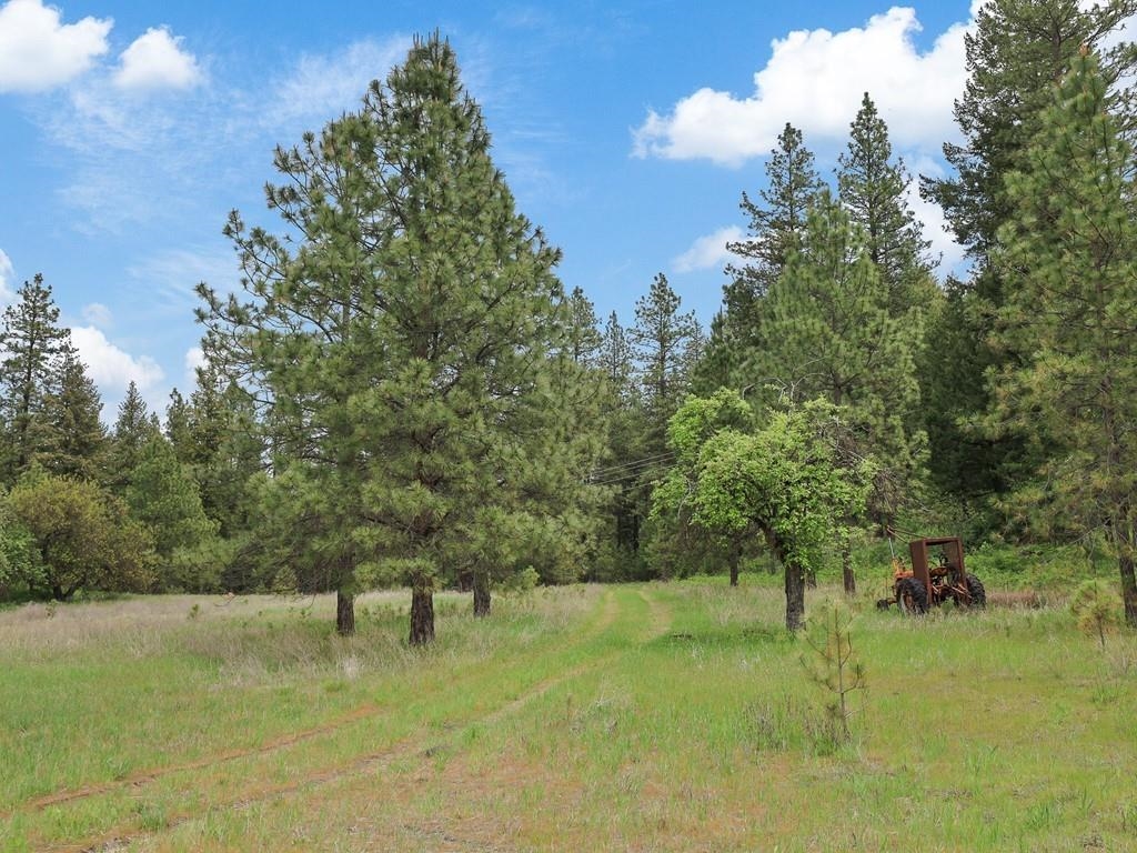 9215 Cheney Spokane Road Spokane, WA 99224 - Photo 9 of 40