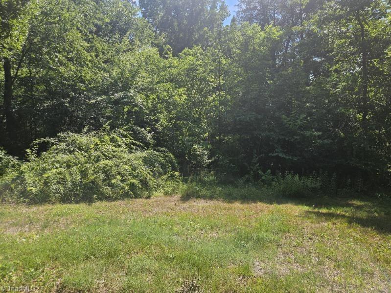 2360 Milling Road Mocksville, NC 27028 - Photo 15 of 30