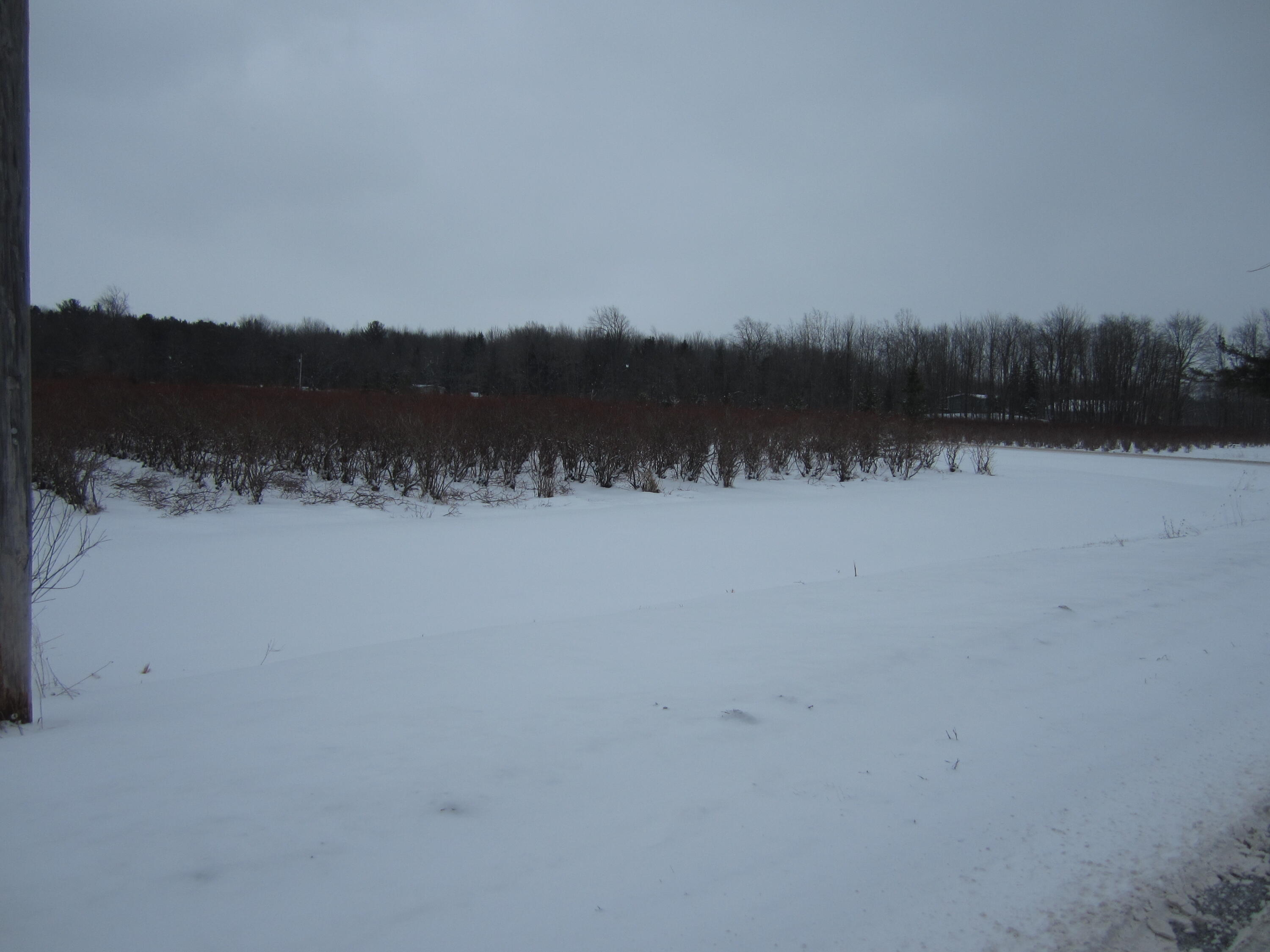 0 West River Road Muskegon, MI 49445 - Photo 2 of 6 IMG_5819
