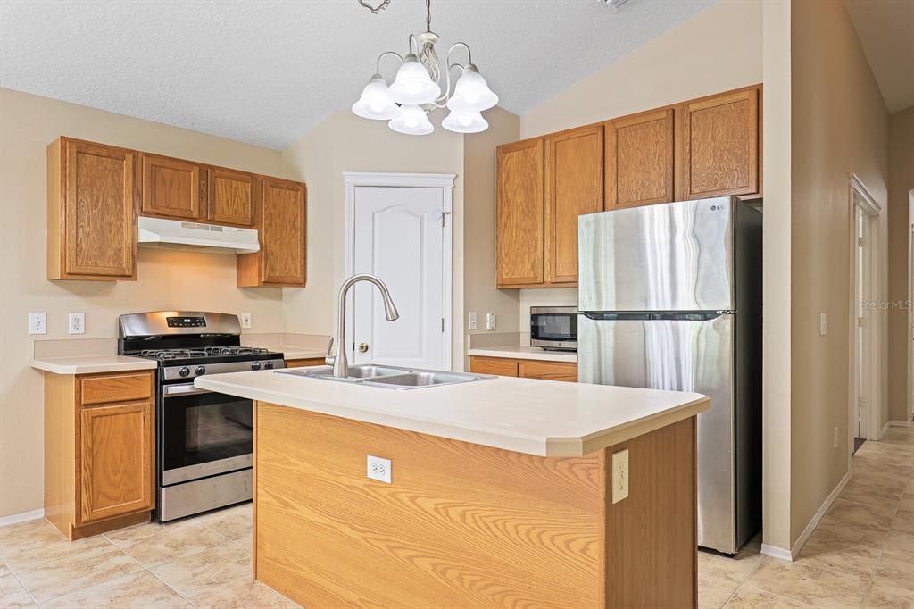 5726 Tanagerlake Road Lithia, FL 33547 - Photo 8 of 33 Gallery Image 8