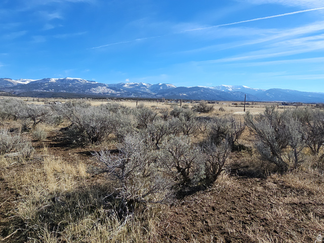 1350 St Spring Spring City, UT 84662 - Photo 17 of 29 Expansive natural landscape featuring brush and grasses with a distant mountain range