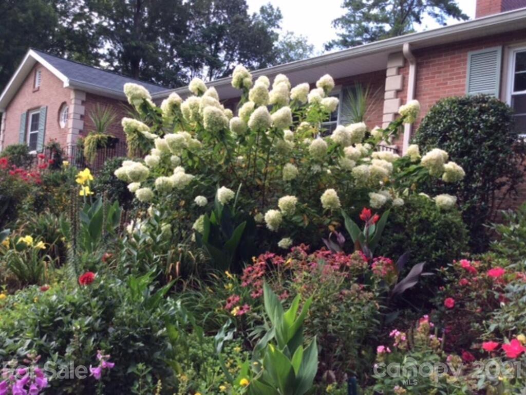 121 Red Oak Road Asheville, NC 28804 - Photo 28 of 35 Gallery Image 28