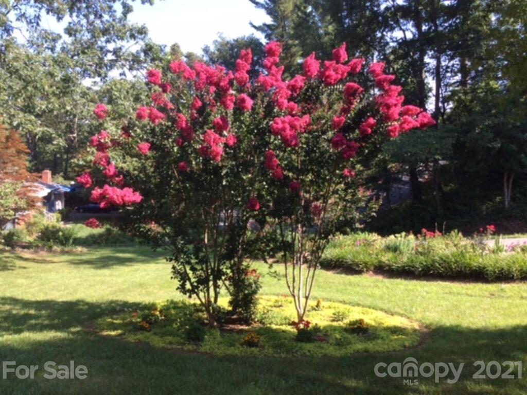 121 Red Oak Road Asheville, NC 28804 - Photo 30 of 35 Gallery Image 30