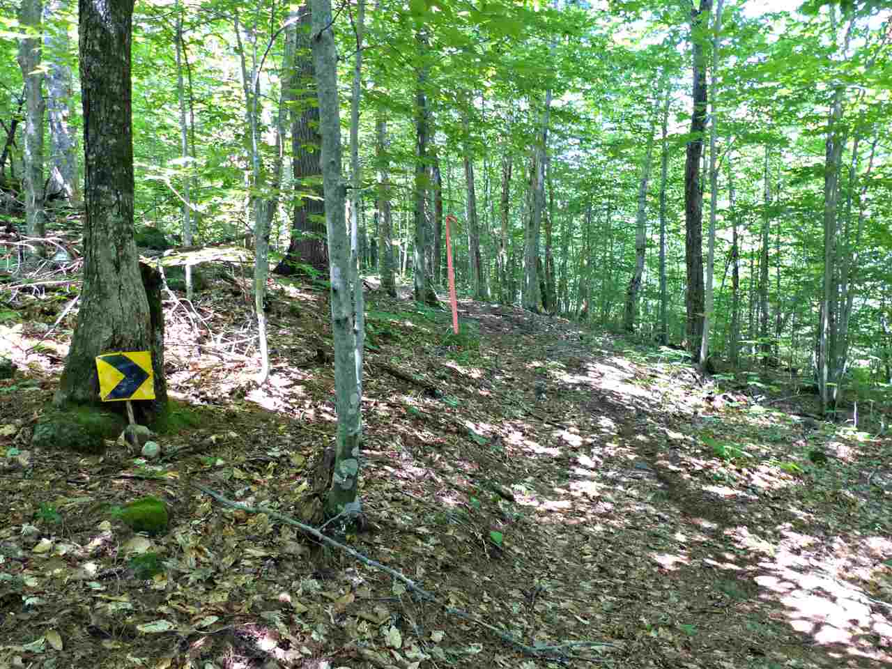 R8-25 Libby Road North Sandwich, NH 03259 - Photo 11 of 26