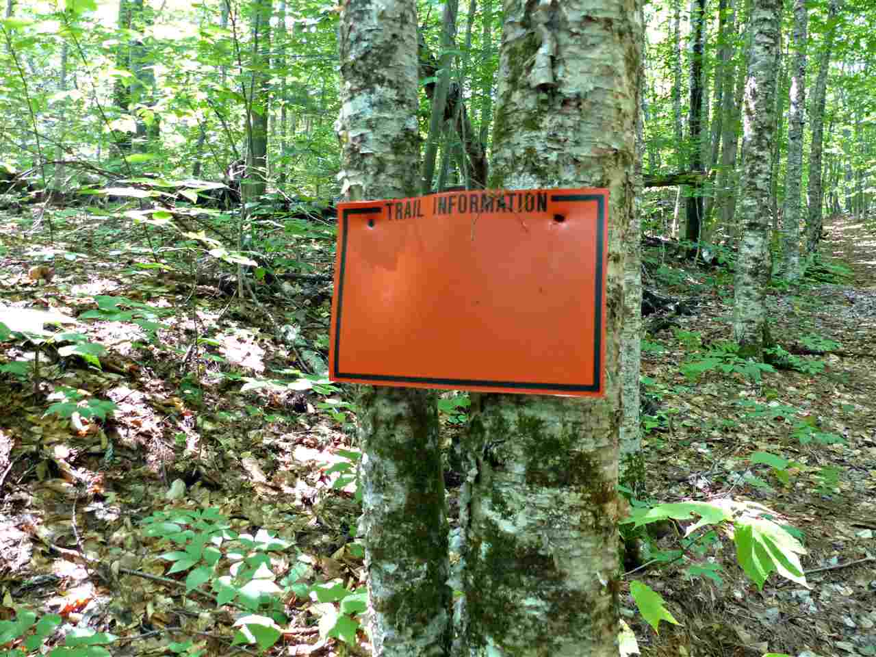 R8-25 Libby Road North Sandwich, NH 03259 - Photo 12 of 26