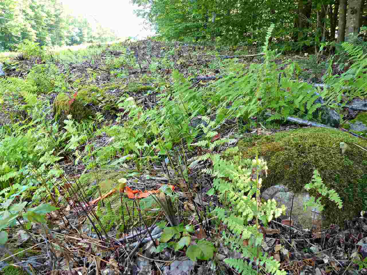 R8-25 Libby Road North Sandwich, NH 03259 - Photo 3 of 26