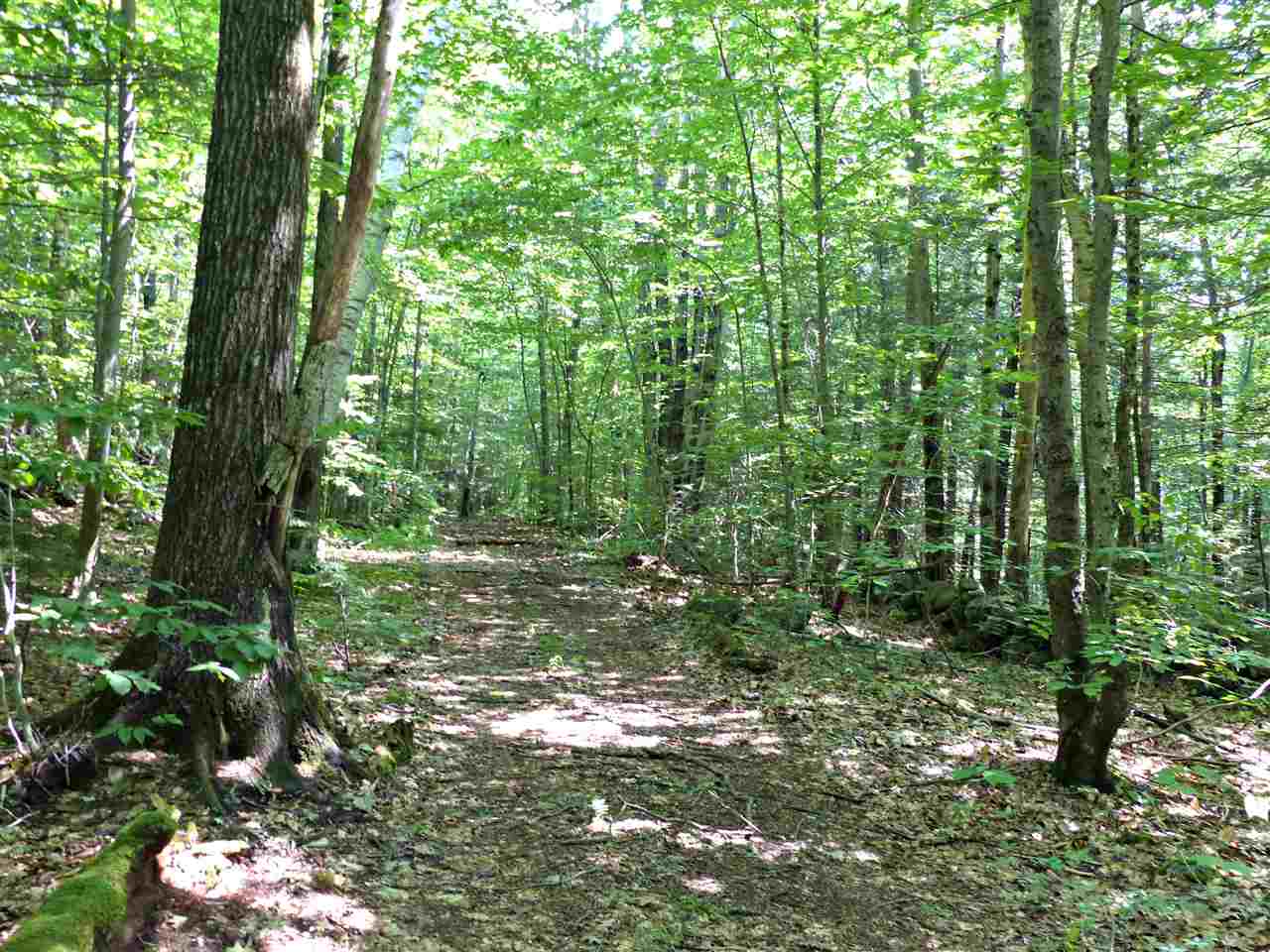 R8-25 Libby Road North Sandwich, NH 03259 - Photo 6 of 26