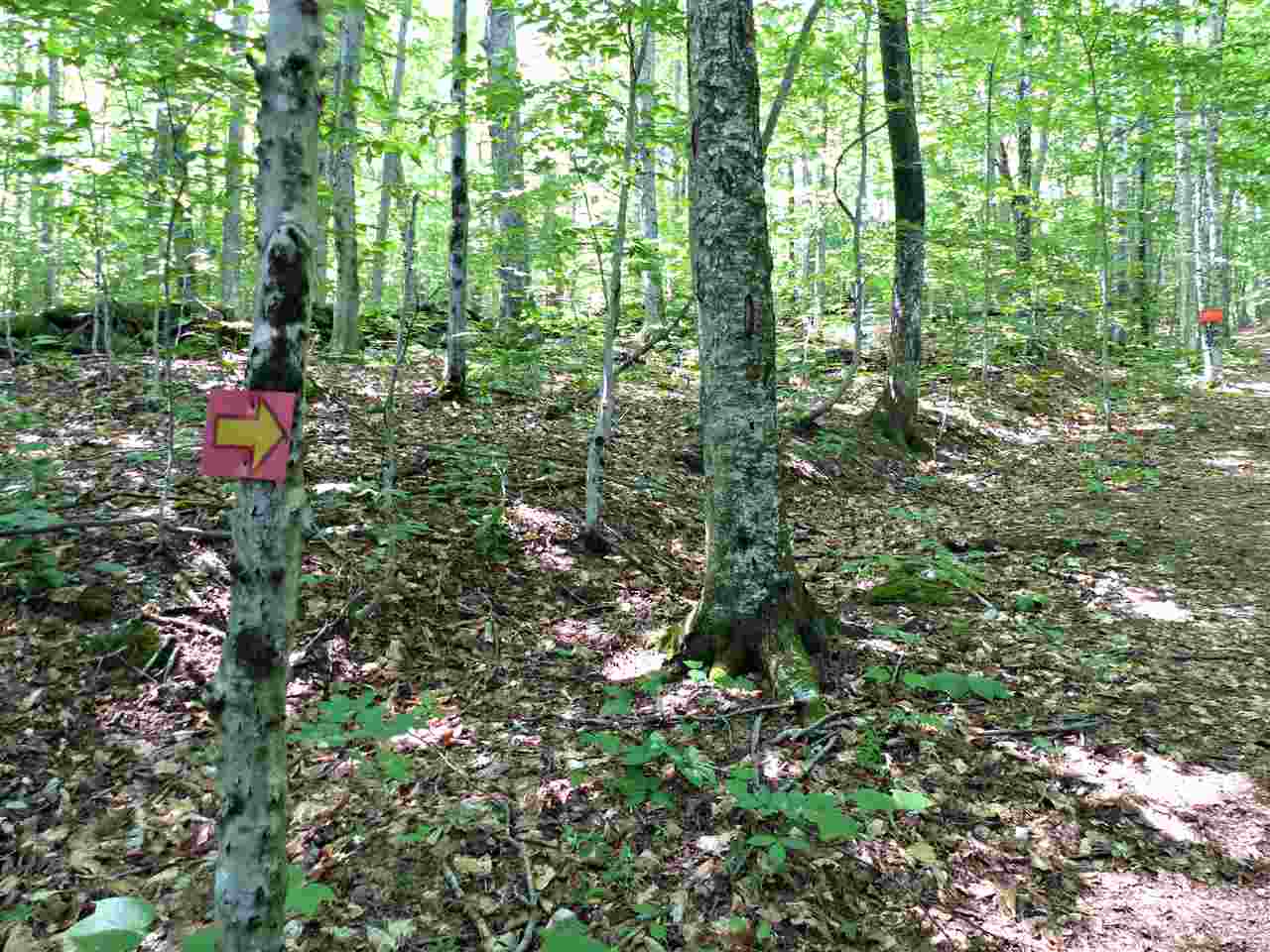 R8-25 Libby Road North Sandwich, NH 03259 - Photo 10 of 26