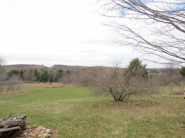 6946 Cottage Road Bellaire, MI 49615 - Photo 9 of 27 1798705-8.JPG
