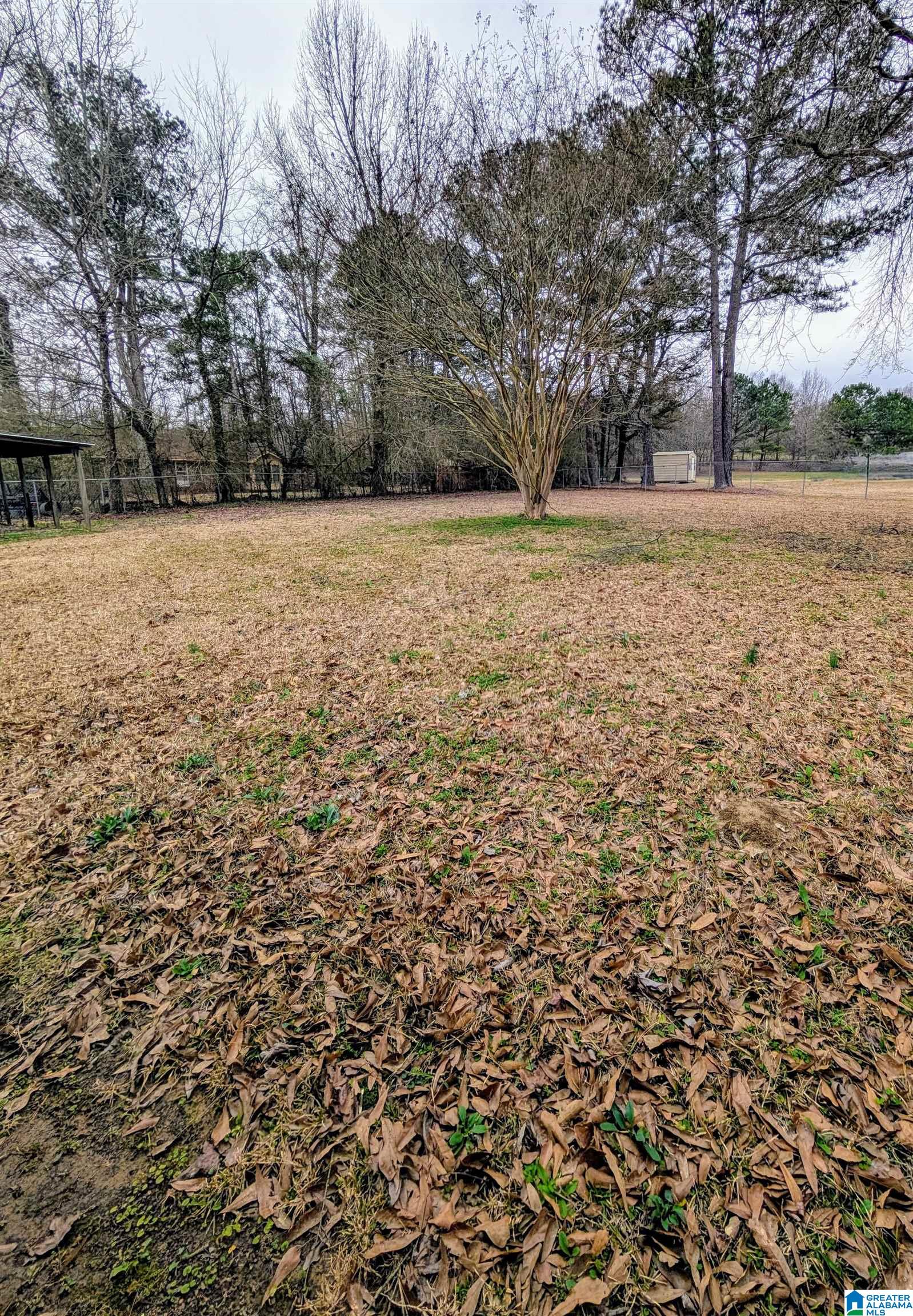 9846 Ellis Road Warrior, AL 35180 - Photo 16 of 16