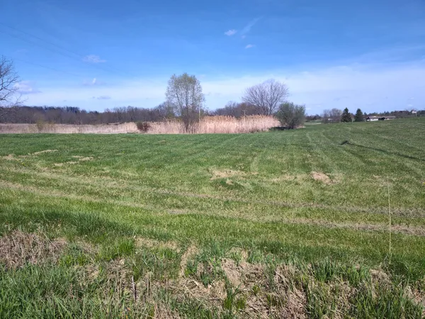 $35,000 | 13511 Woodbridge Road, Camden, MI 49232