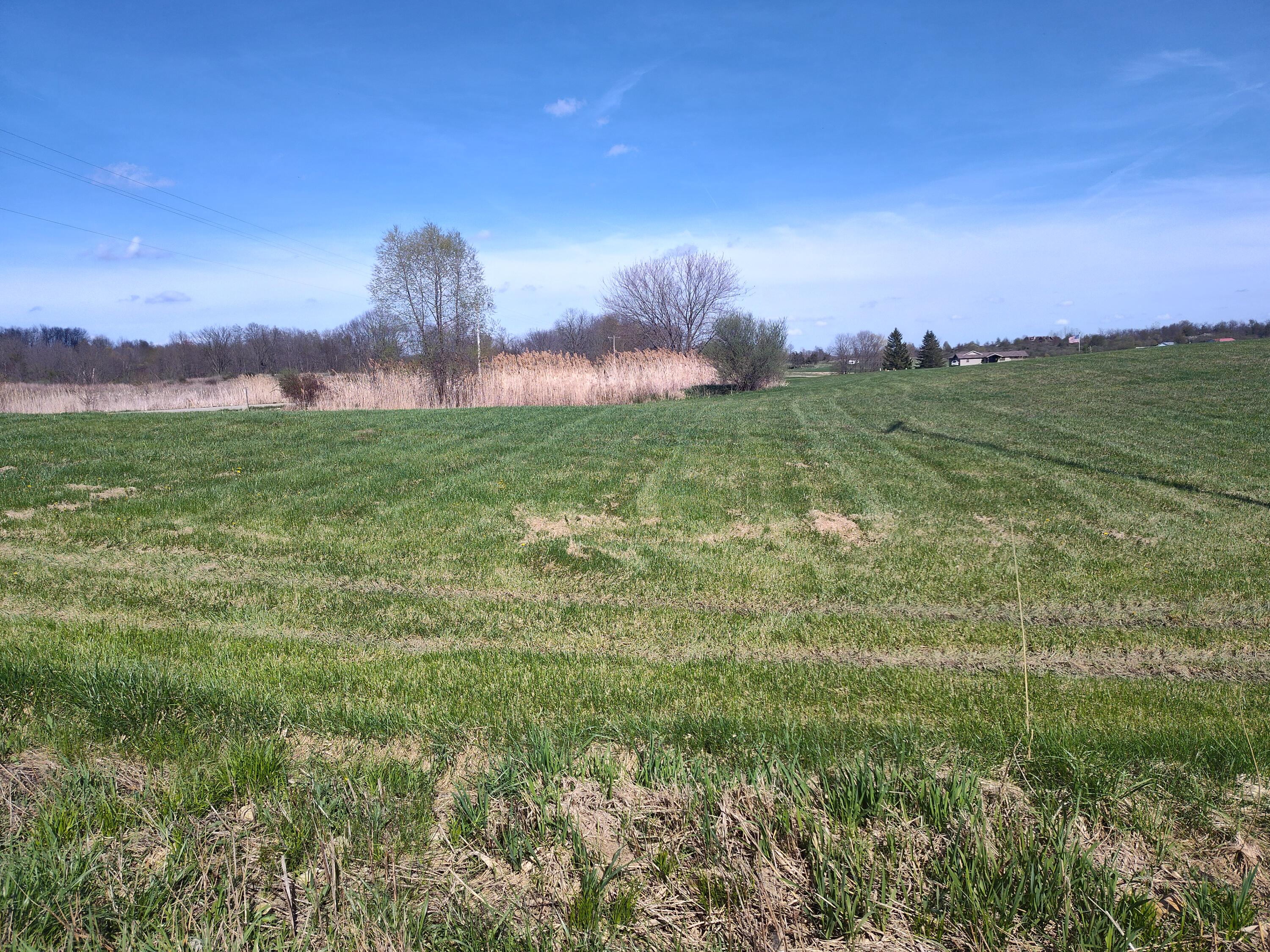 13511 Woodbridge Road Camden, MI 49232 - Photo 10 of 11 IMG_20260417_162500181_HDR