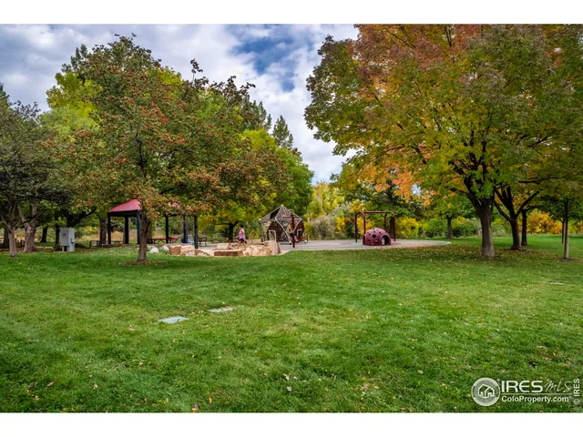 a green field with lots of trees