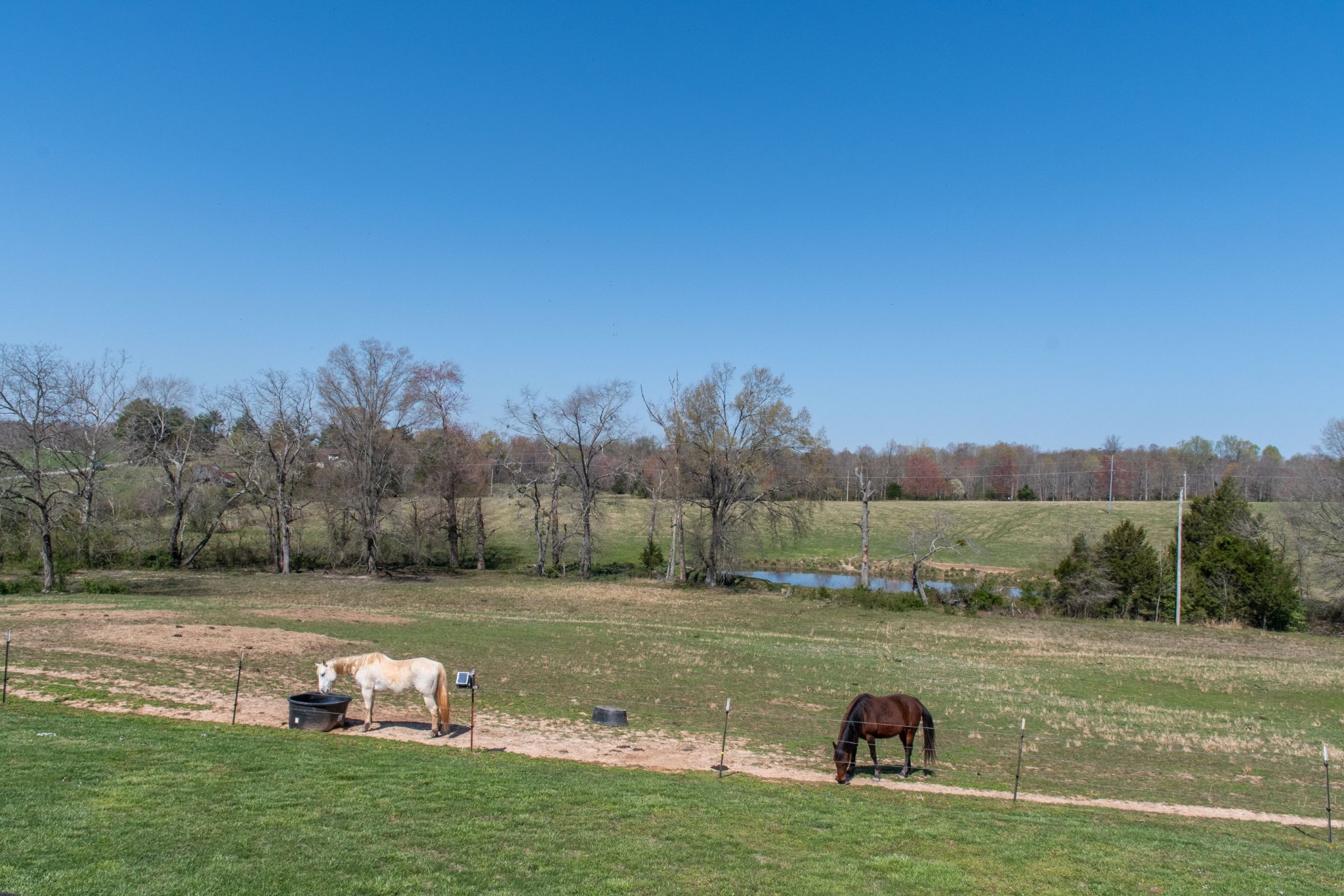 319 Wirmingham Road Monroe, TN 38573 - Photo 25 of 34 a view of a lake with houses in the background
