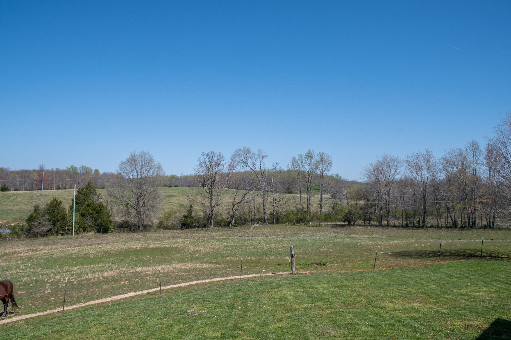 319 Wirmingham Road Monroe, TN 38573 - Photo 26 of 34 a view of a green field with trees in the background