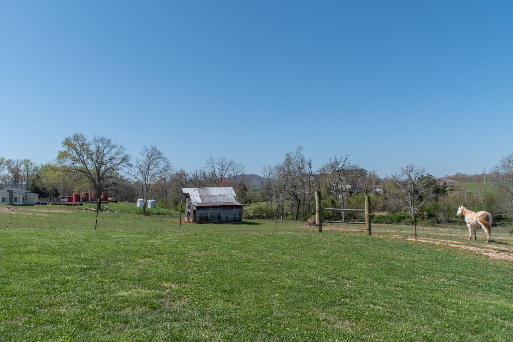 319 Wirmingham Road Monroe, TN 38573 - Photo 29 of 34 a backyard of a house with lots of green space