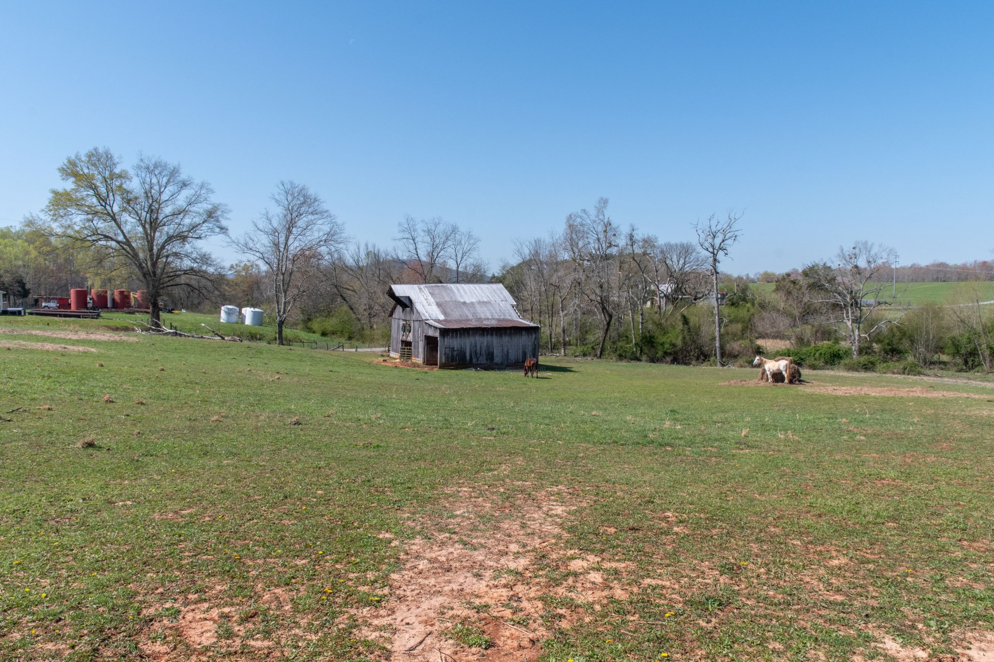 319 Wirmingham Road Monroe, TN 38573 - Photo 33 of 34 a backyard of a house with lots of green space