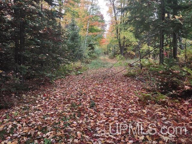 5800 Wolf Lake Road Watersmeet, MI 49969 - Photo 48 of 86