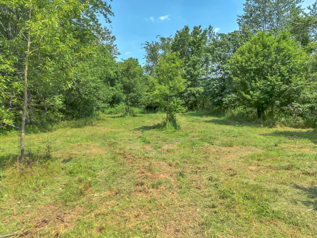 a view of outdoor space and yard