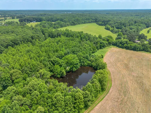 a view of a lush green outdoor space with a lake view