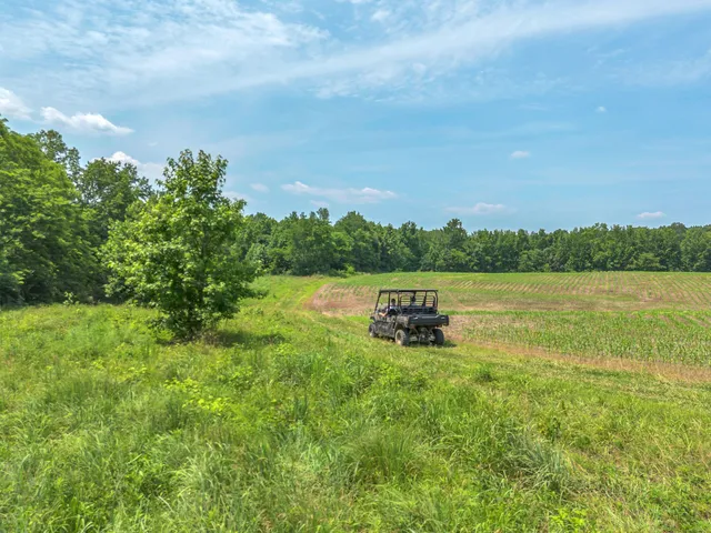 a view of a lake with houses in back