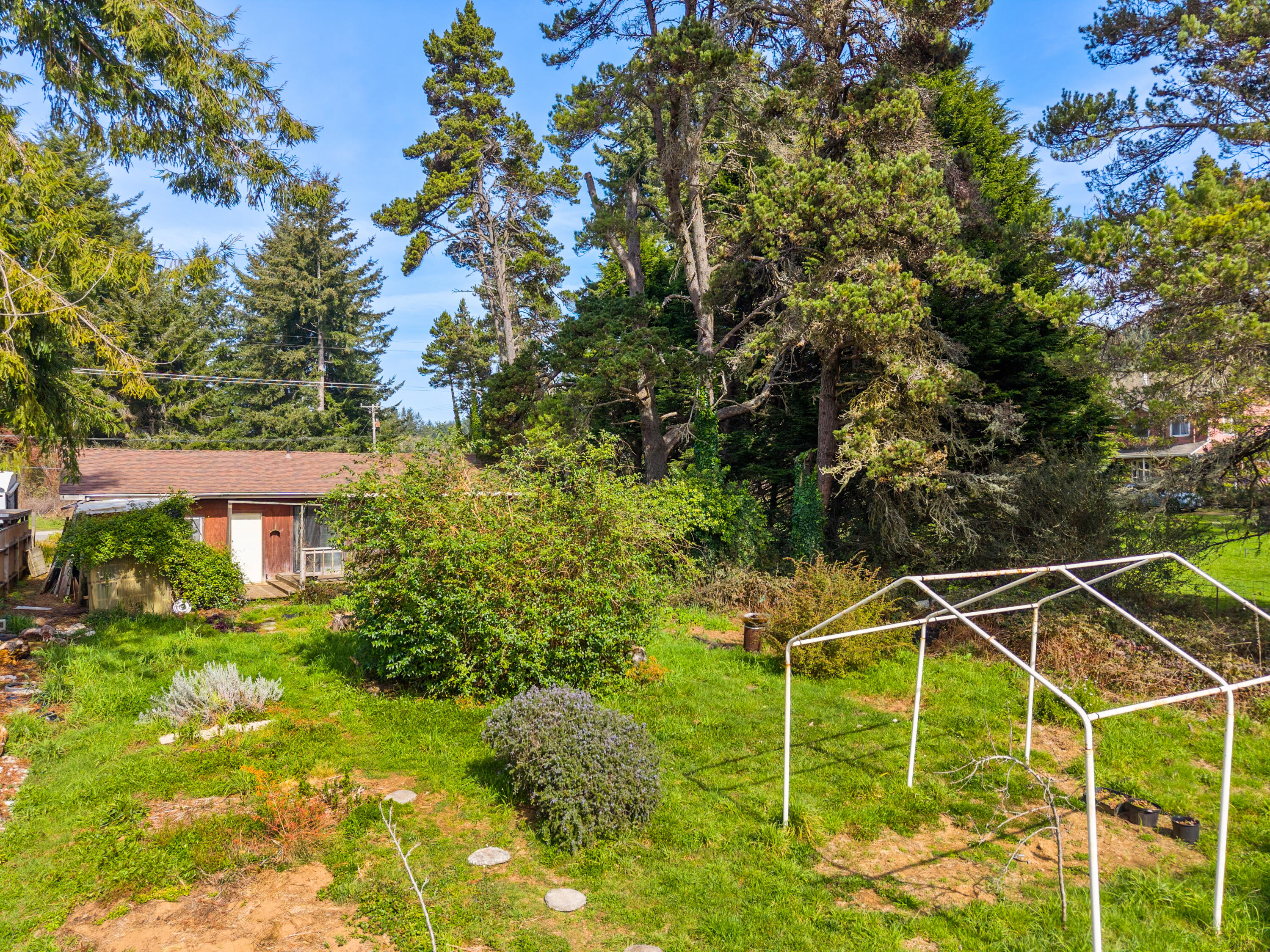 1896 Blake Road McKinleyville, CA 95519 - Photo 5 of 24