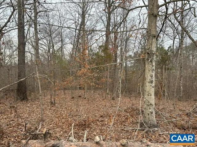 a view of a dry yard