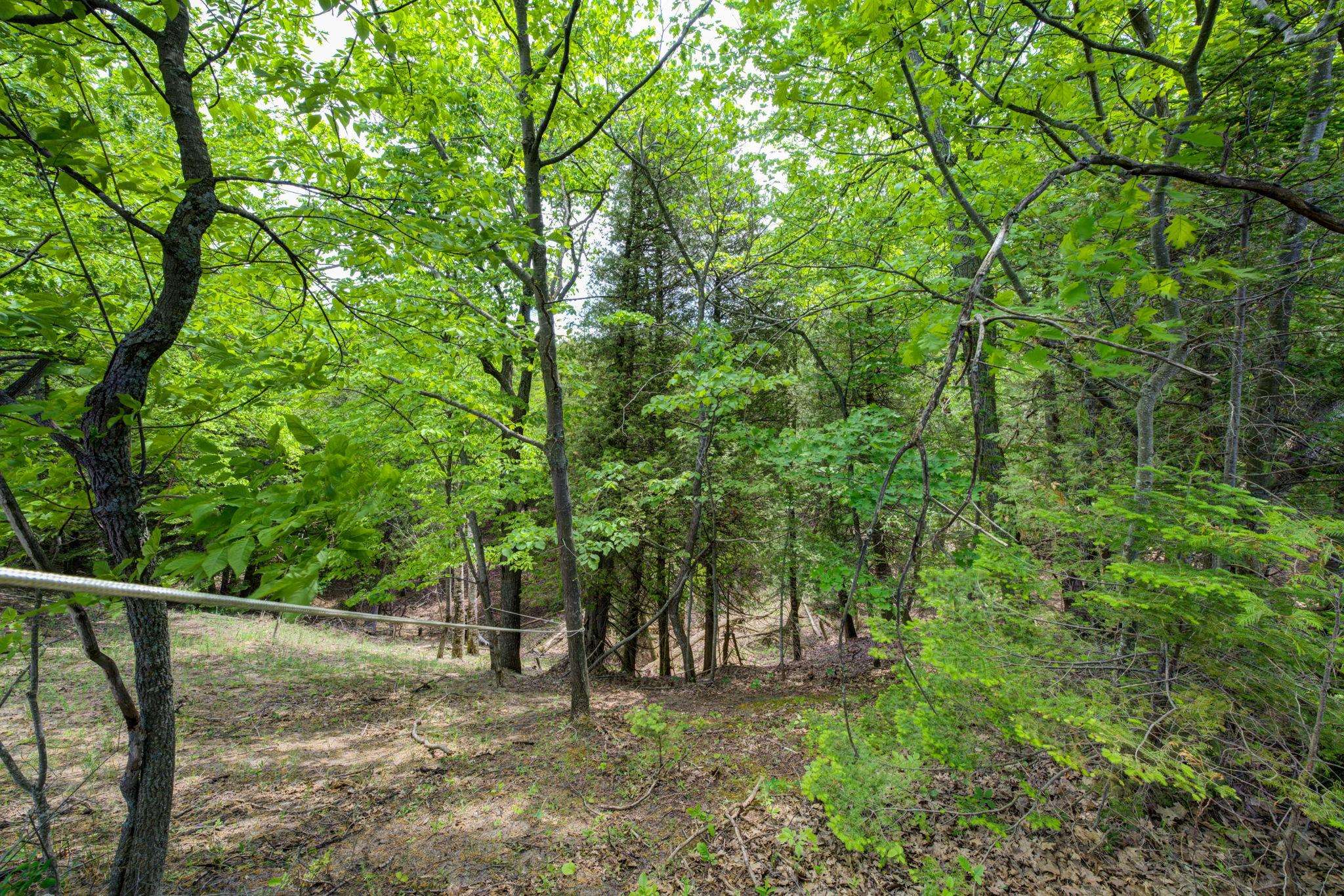3312 Old State Road Frankfort, MI 49635 - Photo 76 of 85