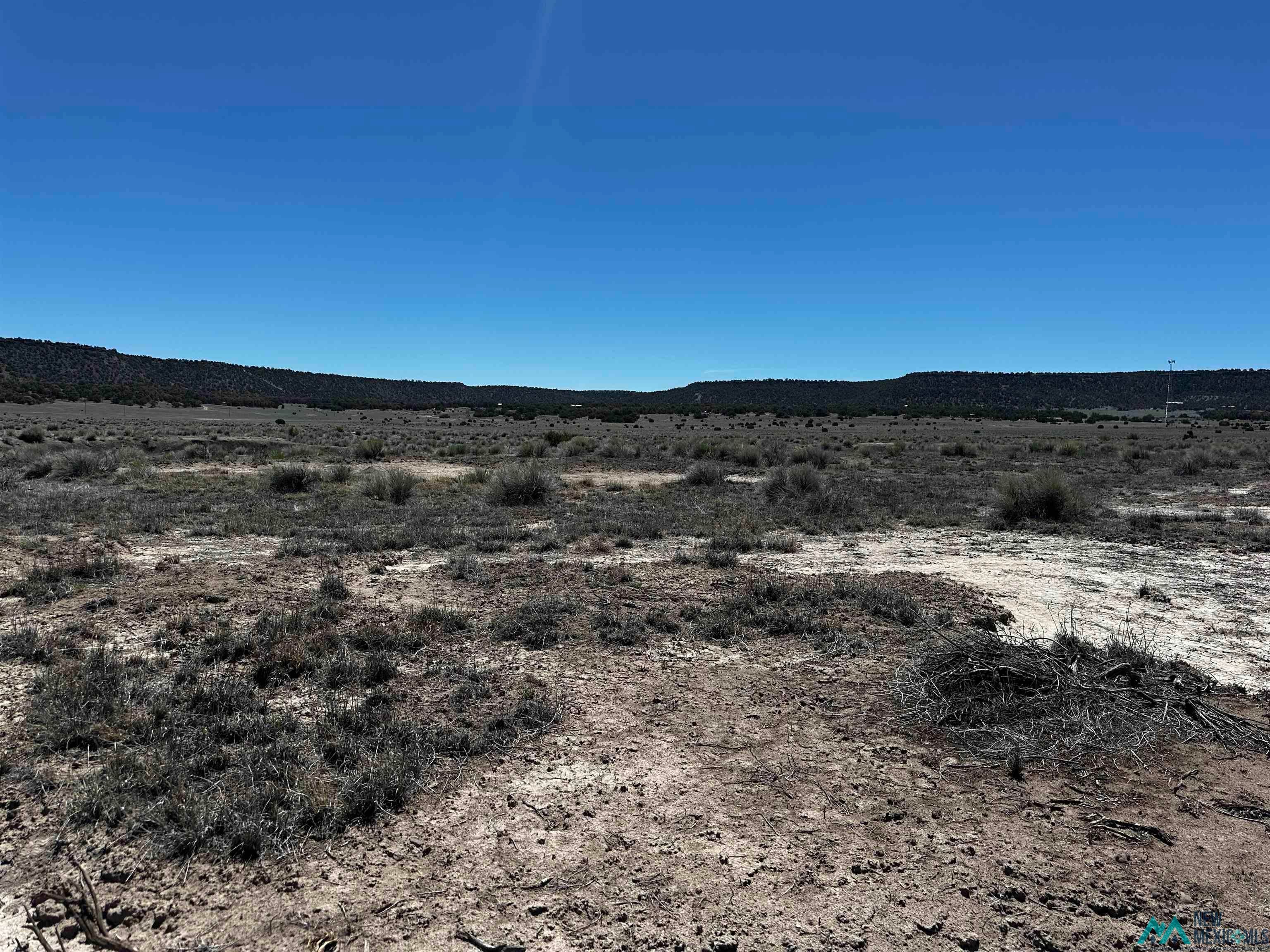 37 Airport Road Quemado, NM 87829 - Photo 6 of 6