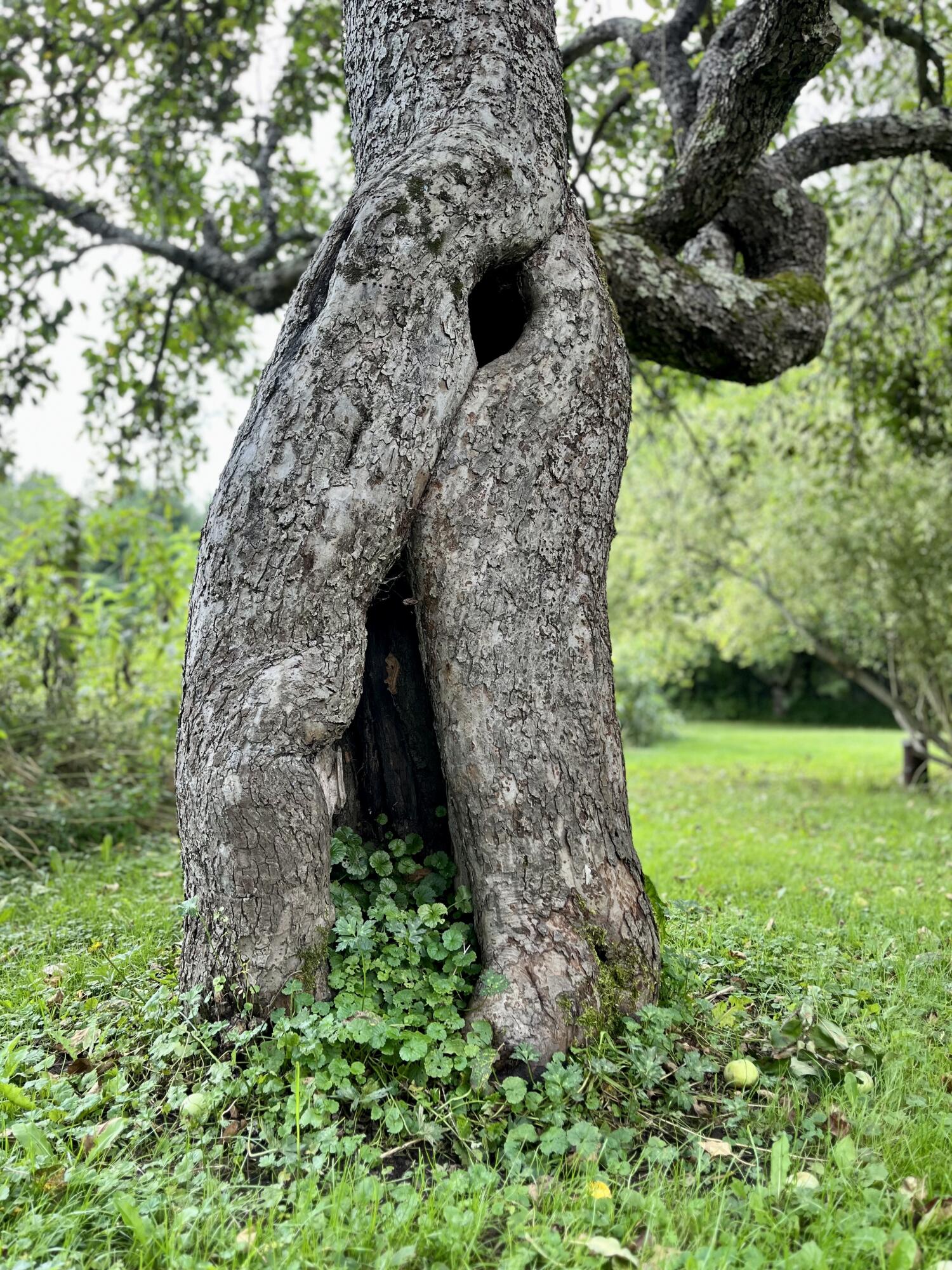 49 Herrick Road Belfast, ME 04915 - Photo 11 of 72 IMG_6822