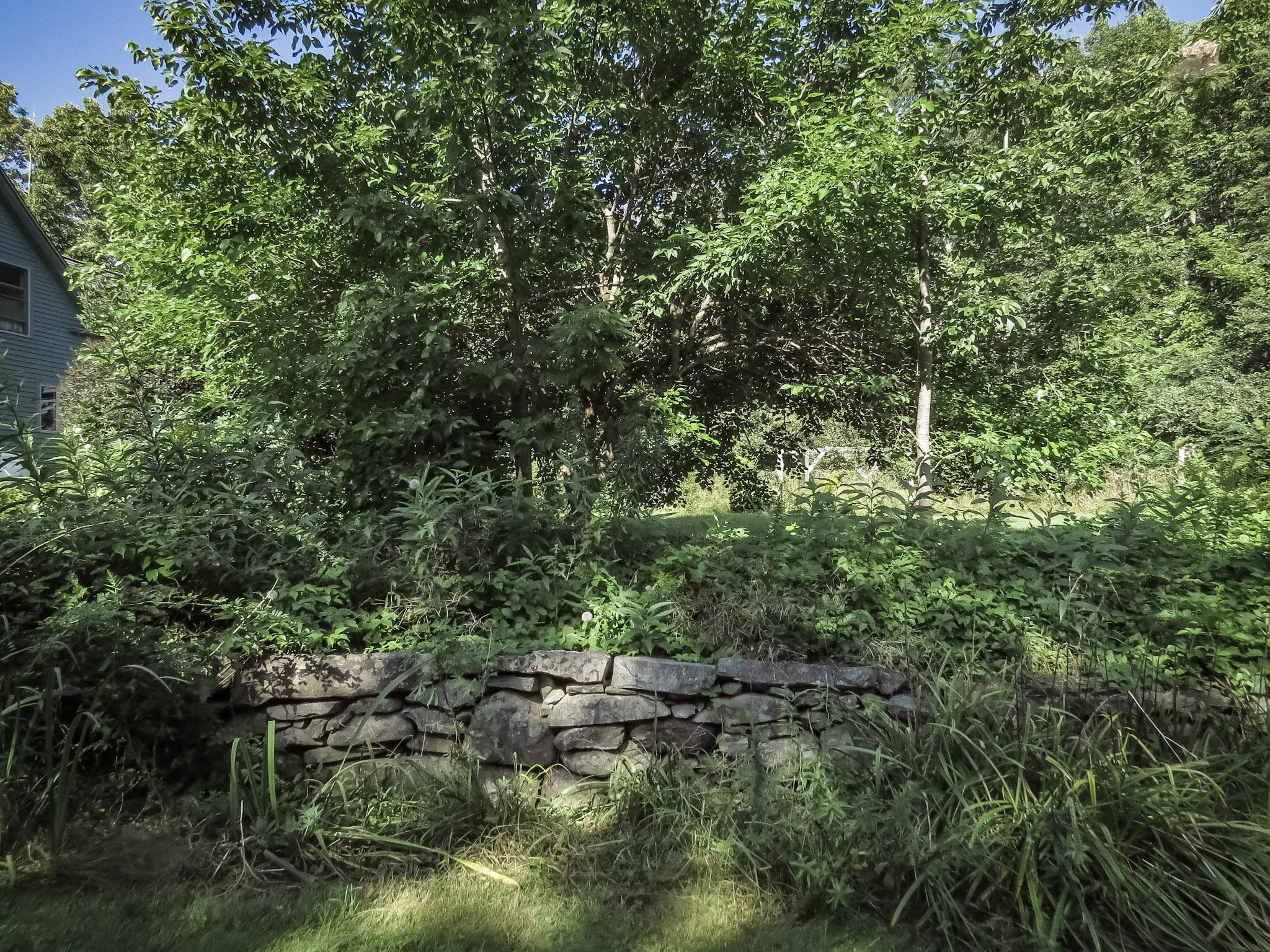 49 Herrick Road Belfast, ME 04915 - Photo 12 of 72 6-IMG_6453