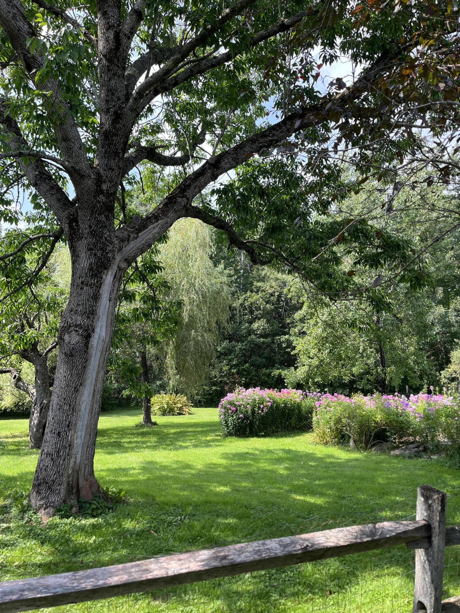 49 Herrick Road Belfast, ME 04915 - Photo 61 of 72 IMG_6786