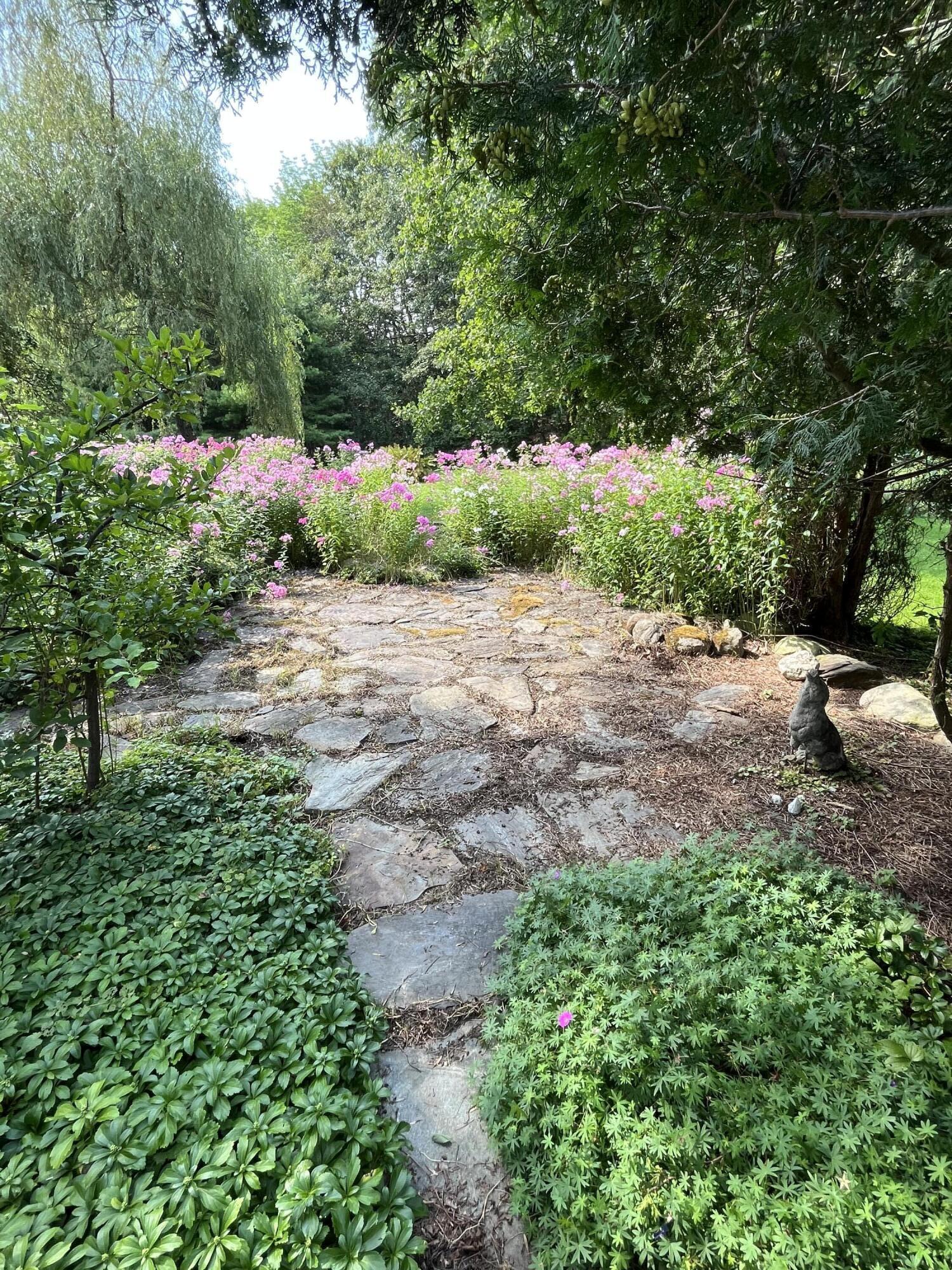 49 Herrick Road Belfast, ME 04915 - Photo 9 of 72 IMG_6829