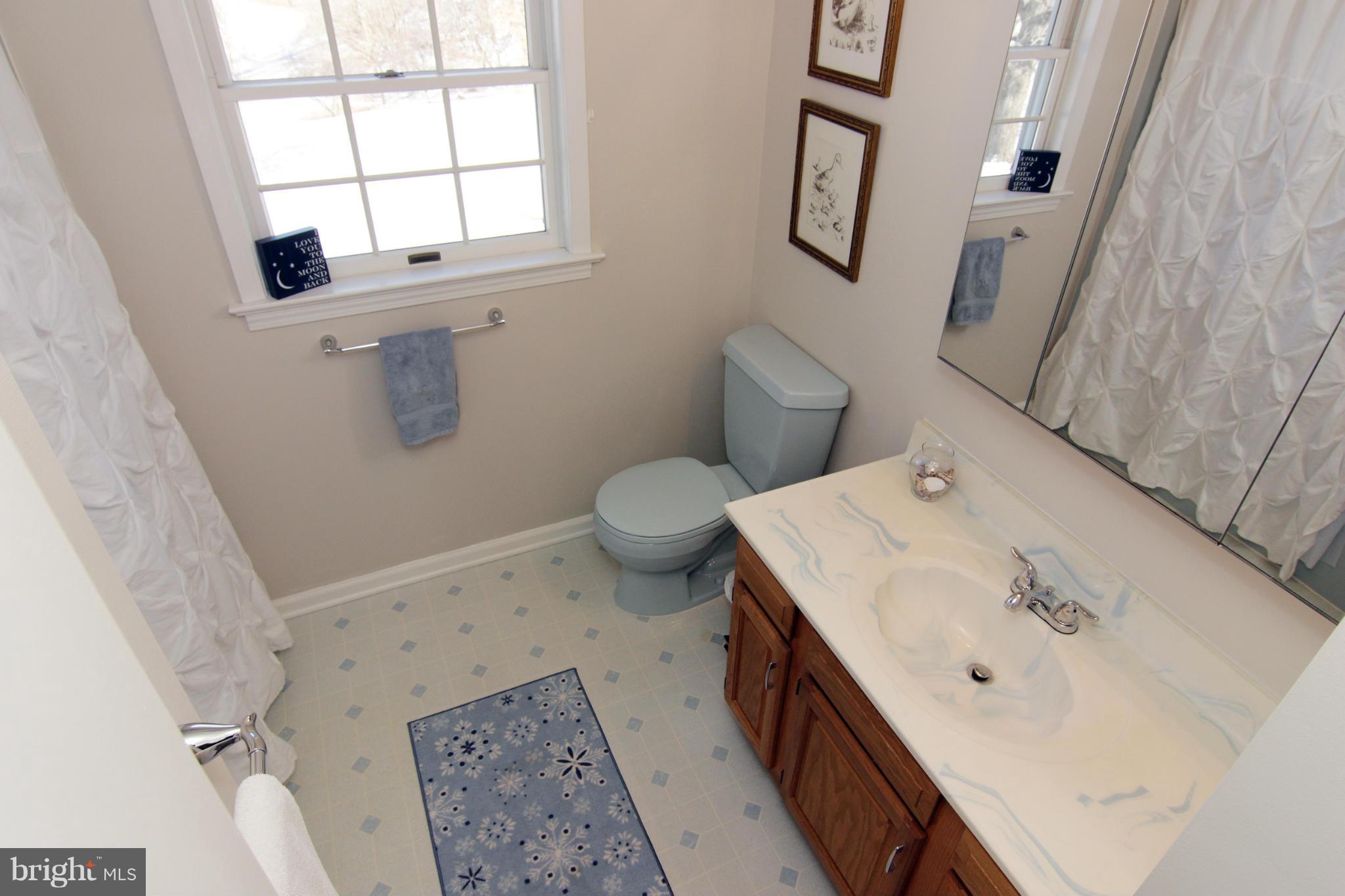 16397 Hampton Road Hamilton, VA 20158 - Photo 24 of 30 Upper level bathroom