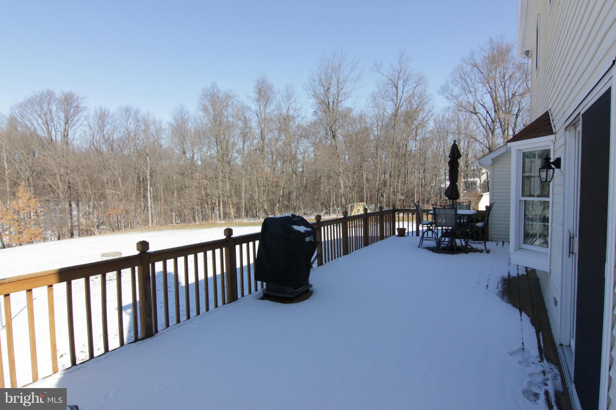 16397 Hampton Road Hamilton, VA 20158 - Photo 25 of 30 Large rear deck with expansive views