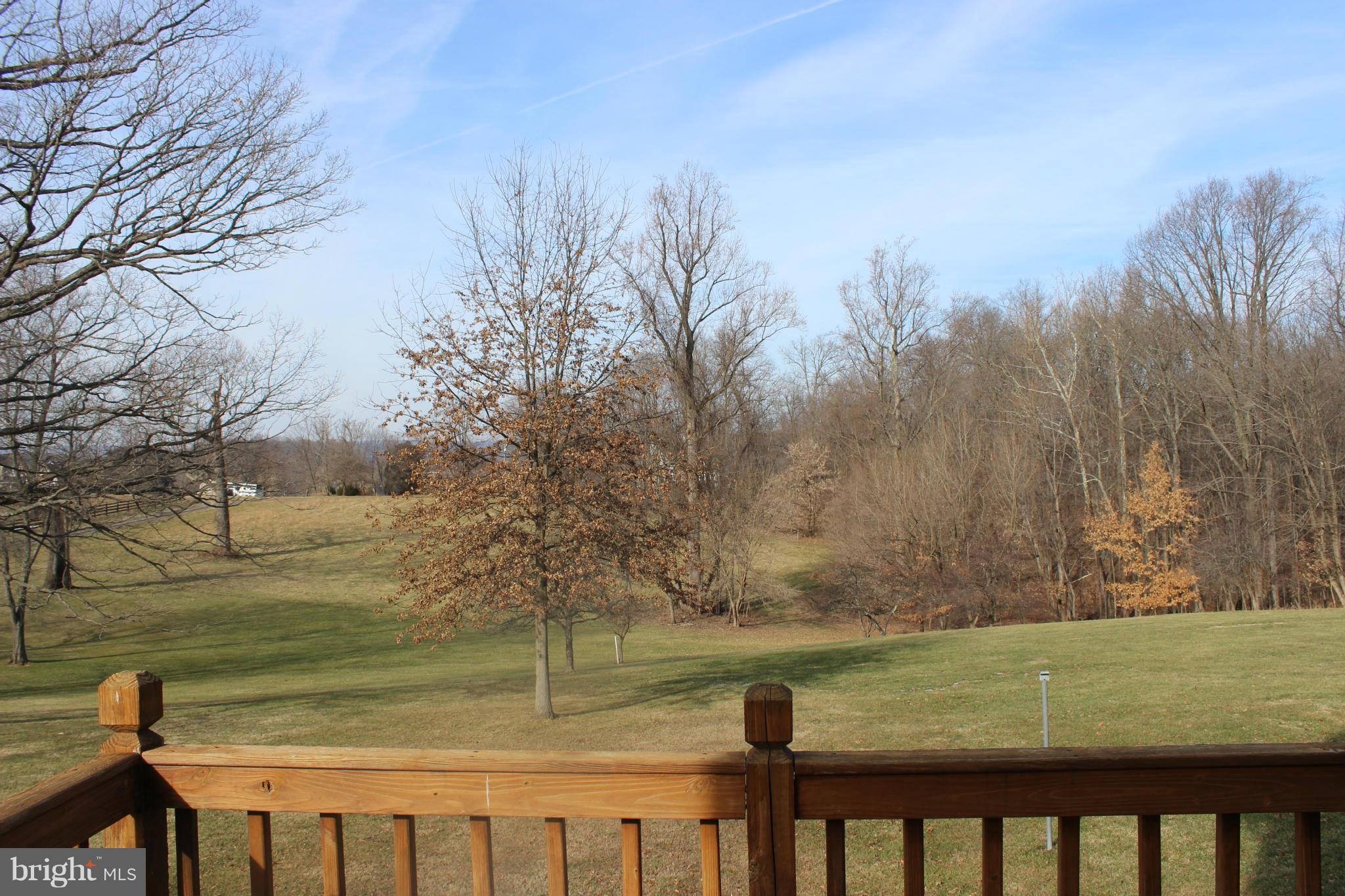 16397 Hampton Road Hamilton, VA 20158 - Photo 28 of 30 Views of trees, mountains